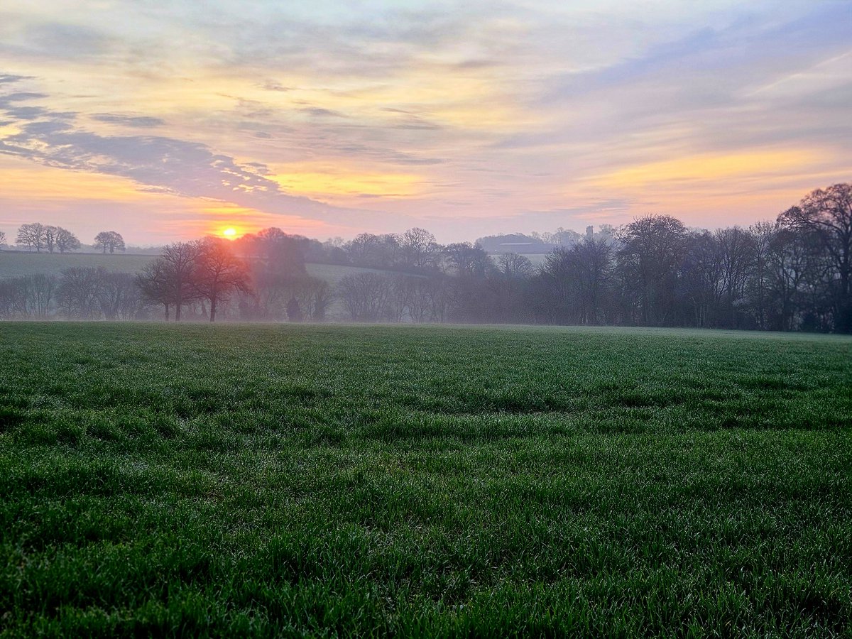 Chris0000007 tweet media