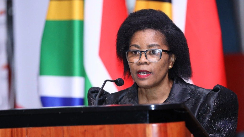 South African Daily tweet media