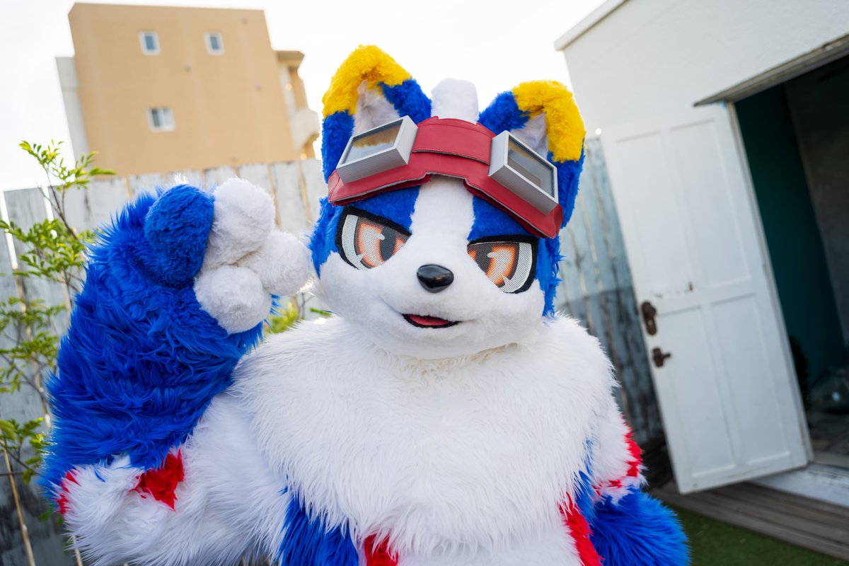 アキラ tweet media