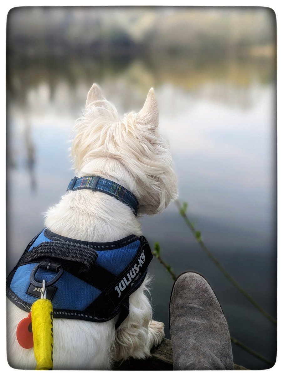 suzanne masters tweet media