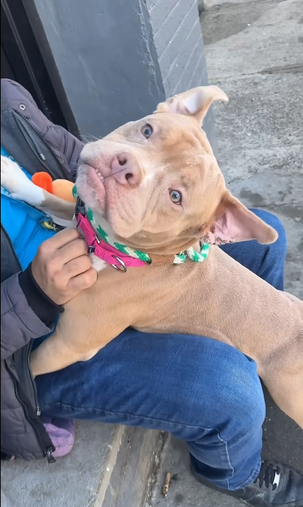 Cozy Paws🐾 tweet media