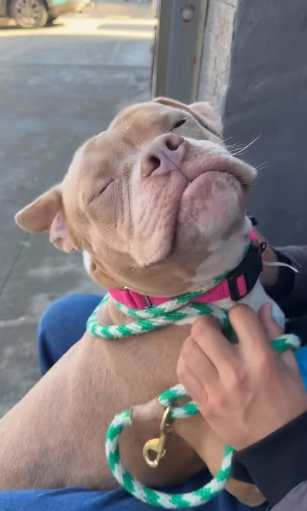 Cozy Paws🐾 tweet media