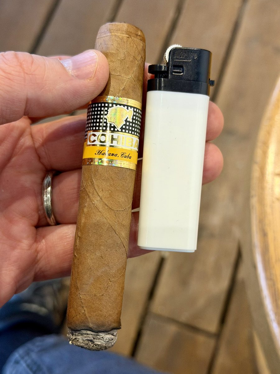 Yeşil Rolex tweet media