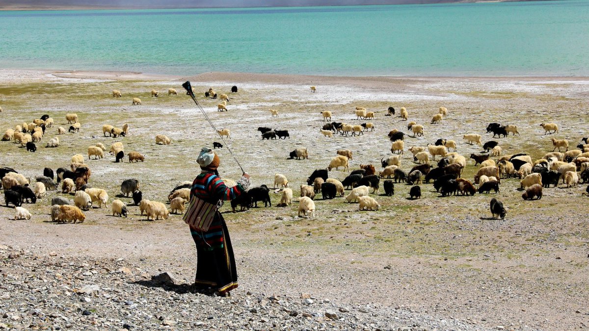 90野马(互关互评） tweet media