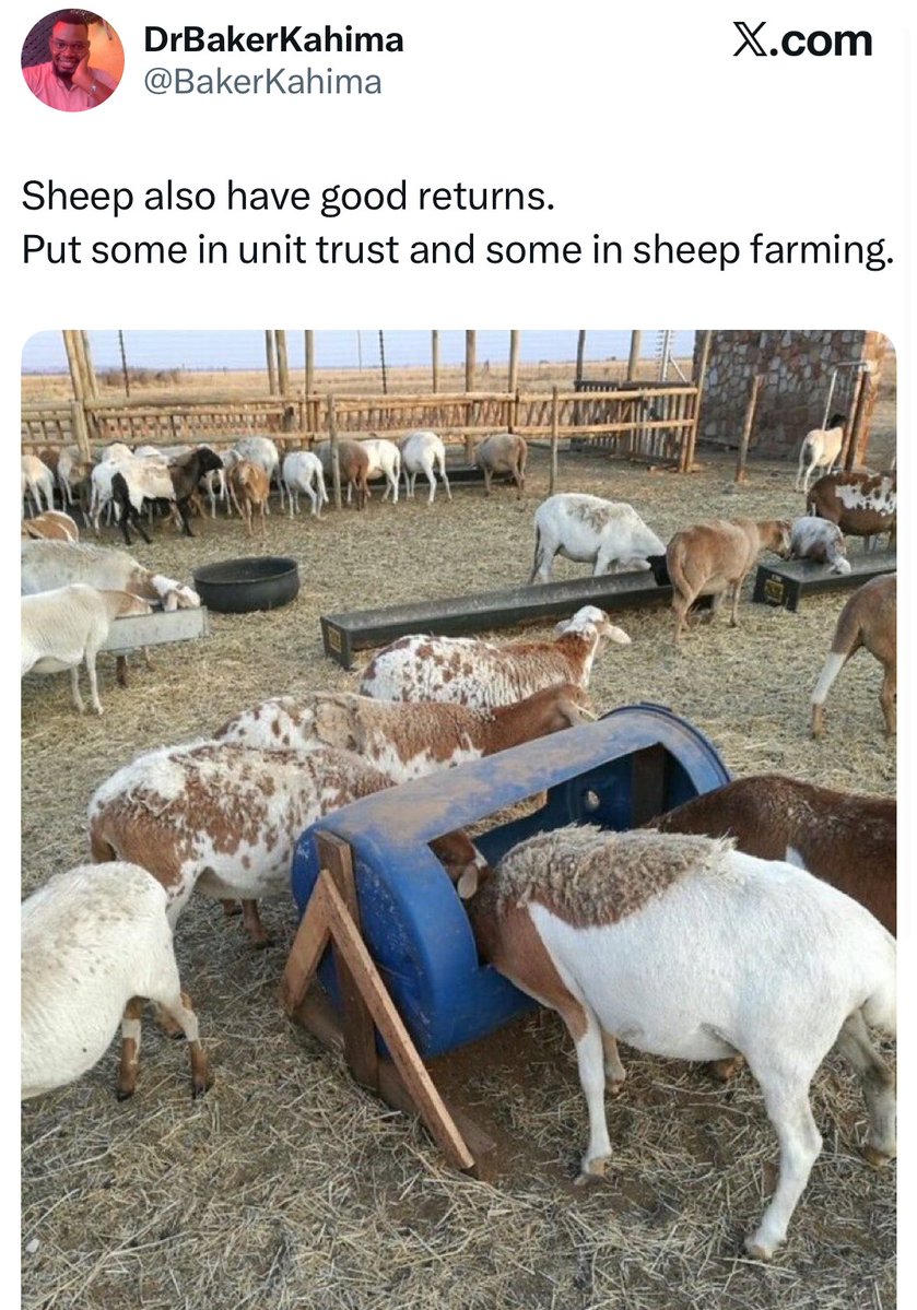 Godfrey KUTEESA!! tweet media