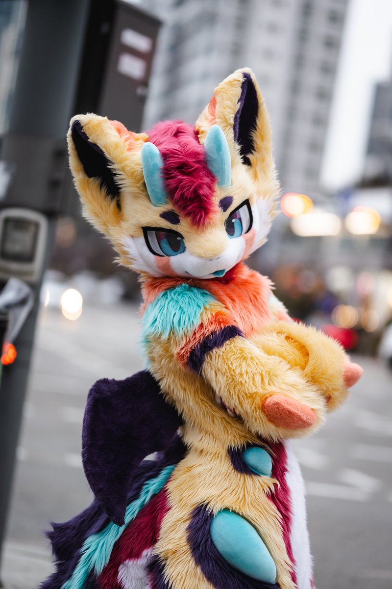 🌟Spectrum 🔜Furstclass tweet media