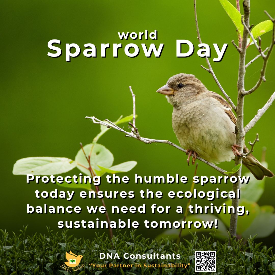 dnaconsultants_'s tweet image. Happy Sparrow Day!
Protecting the humble sparrow today ensures the ecological balance we need for a thriving, sustainable tomorrow!

#sparrowday #sparrow #birdsmatter #biodiversity #environment #sustainability #livemindfully #DNA #DNAConsultants