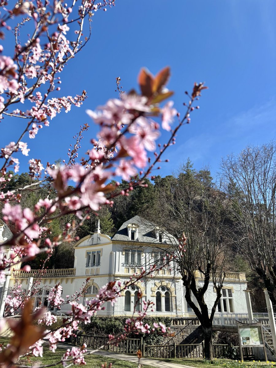 Massif du Sancy tweet media