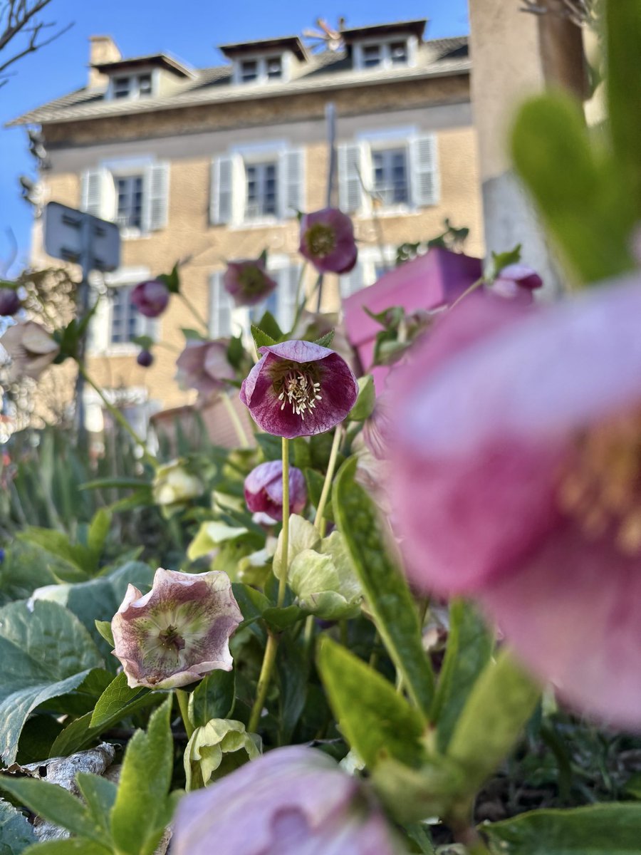 Massif du Sancy tweet media