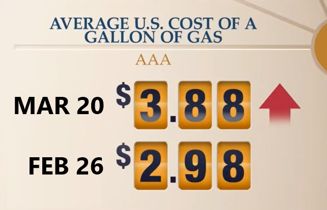 little grey mouse 🐭 tweet media