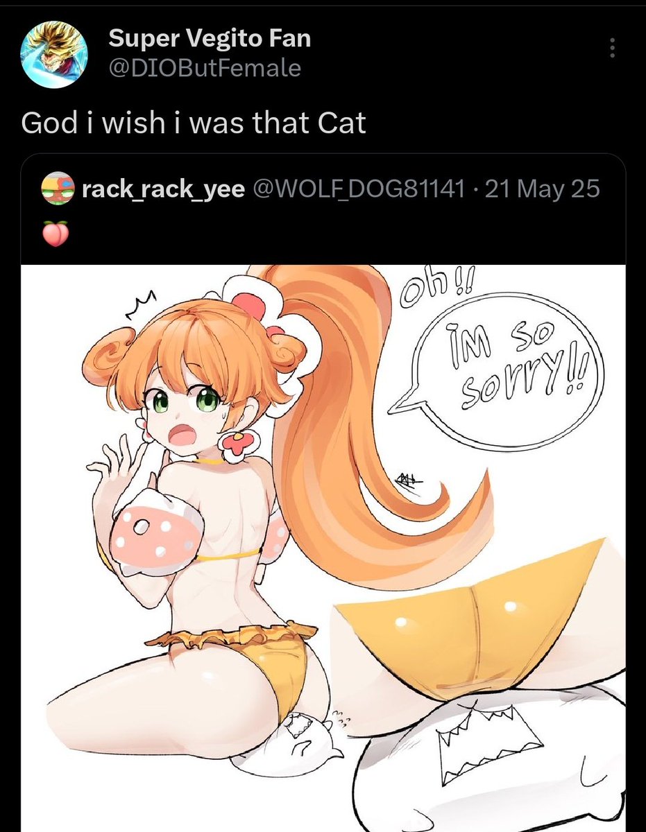 Super Vegito Fan tweet media