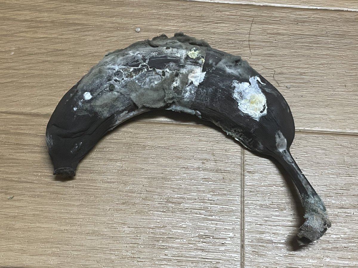 Poison石橋 tweet media