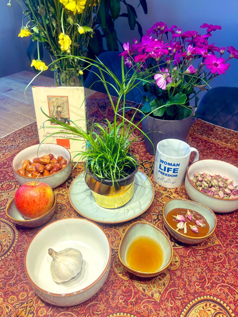 Shoura Hashemi tweet media