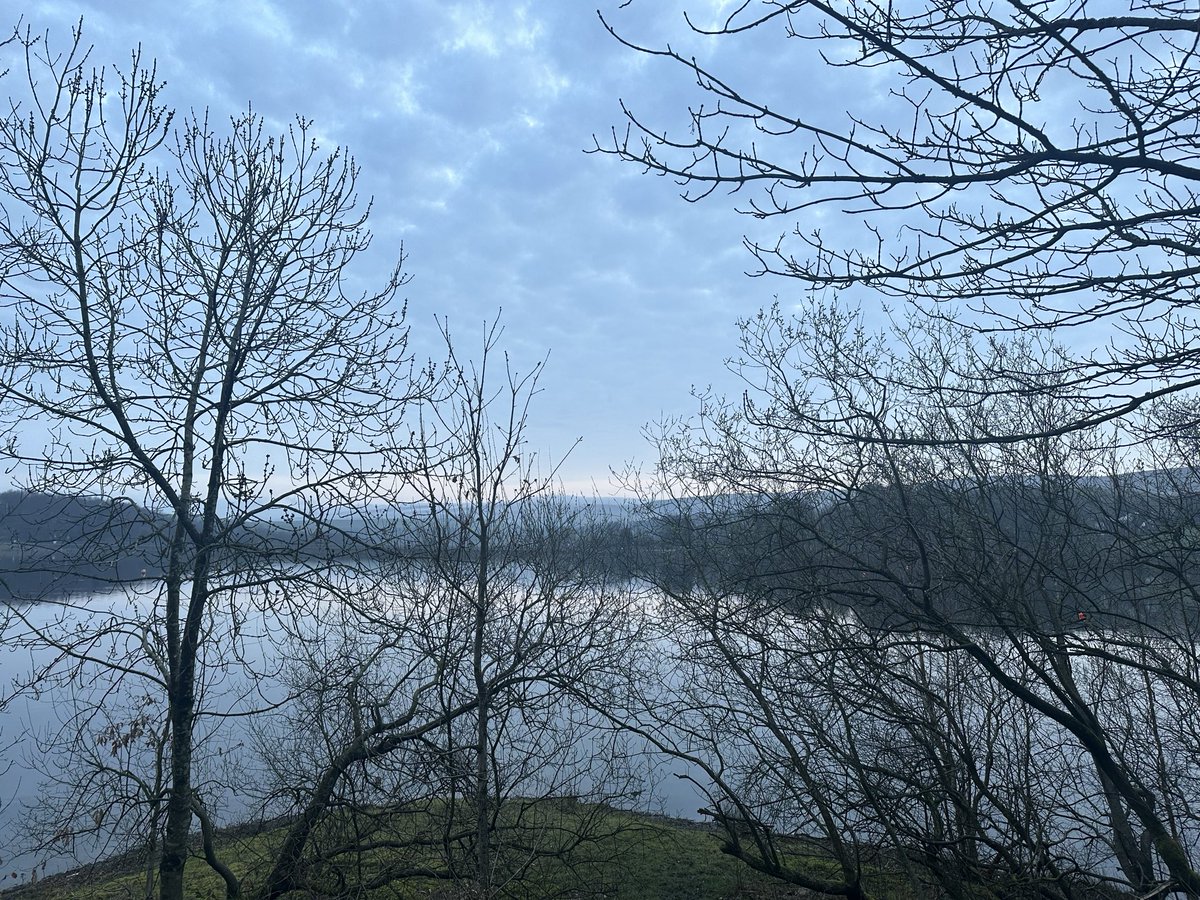syl79's tweet photo. Beautiful spring morning https://t.co/Hi74MAey3S