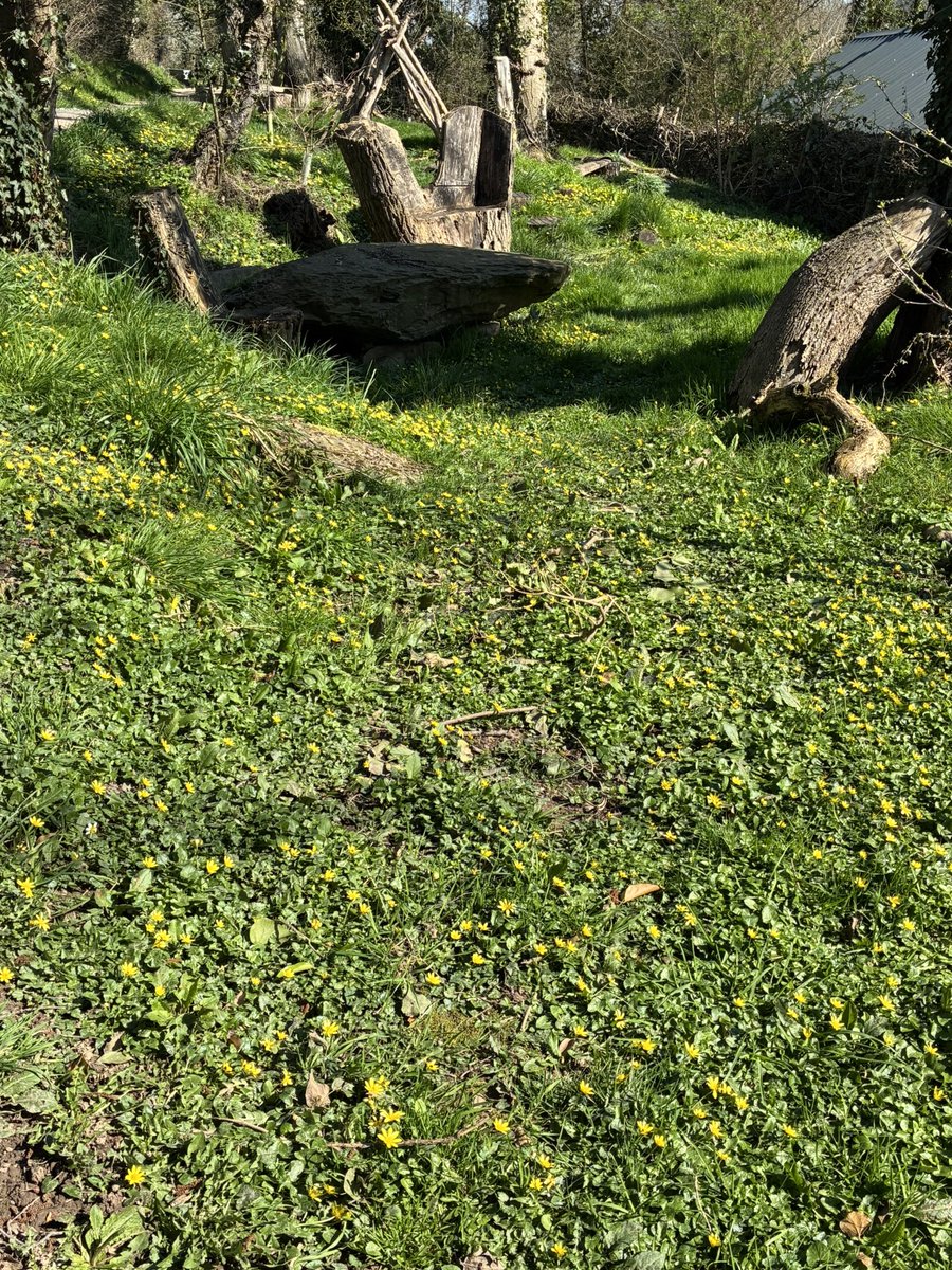 Tom Jameson 🐝 tweet media