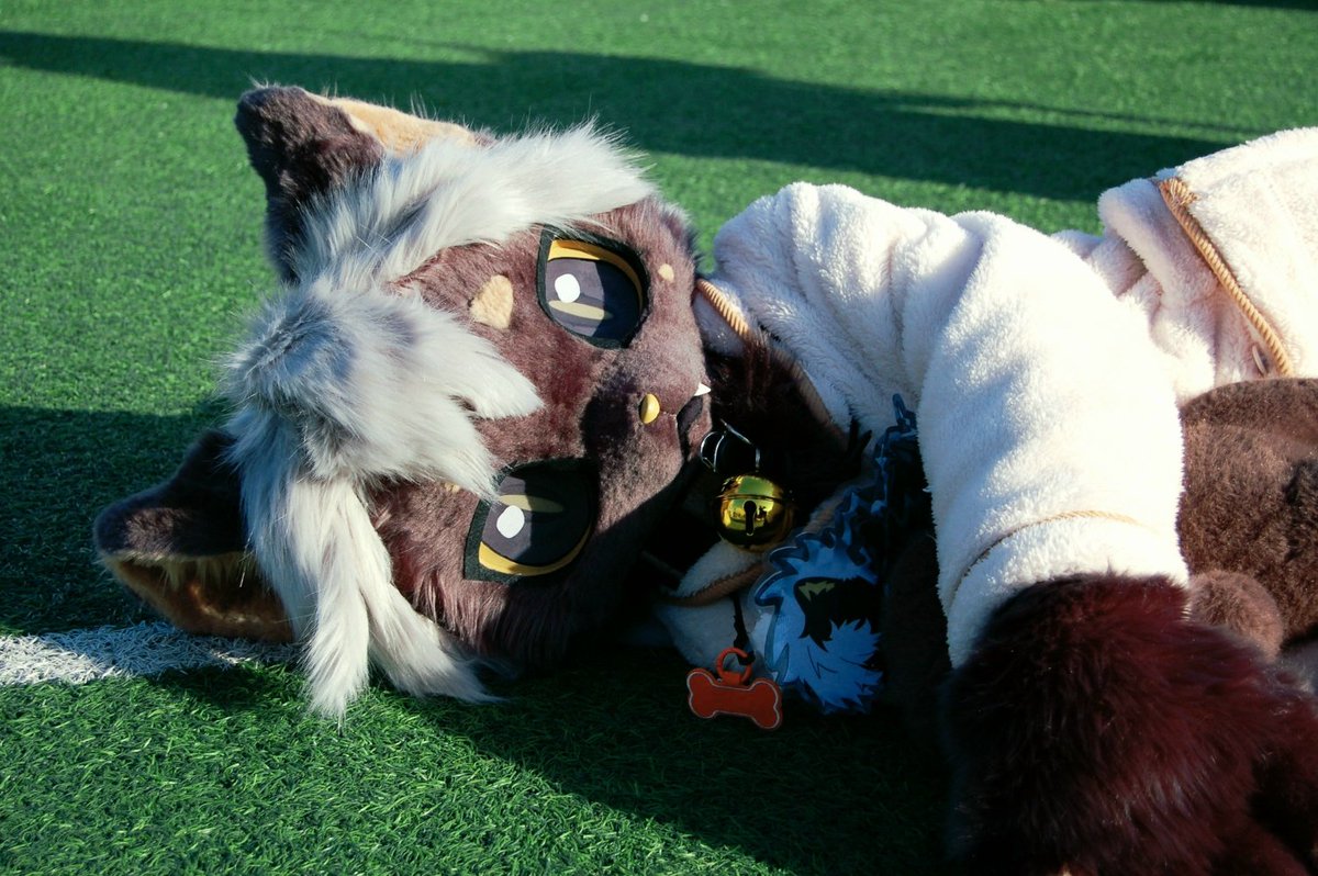 ディブル tweet media