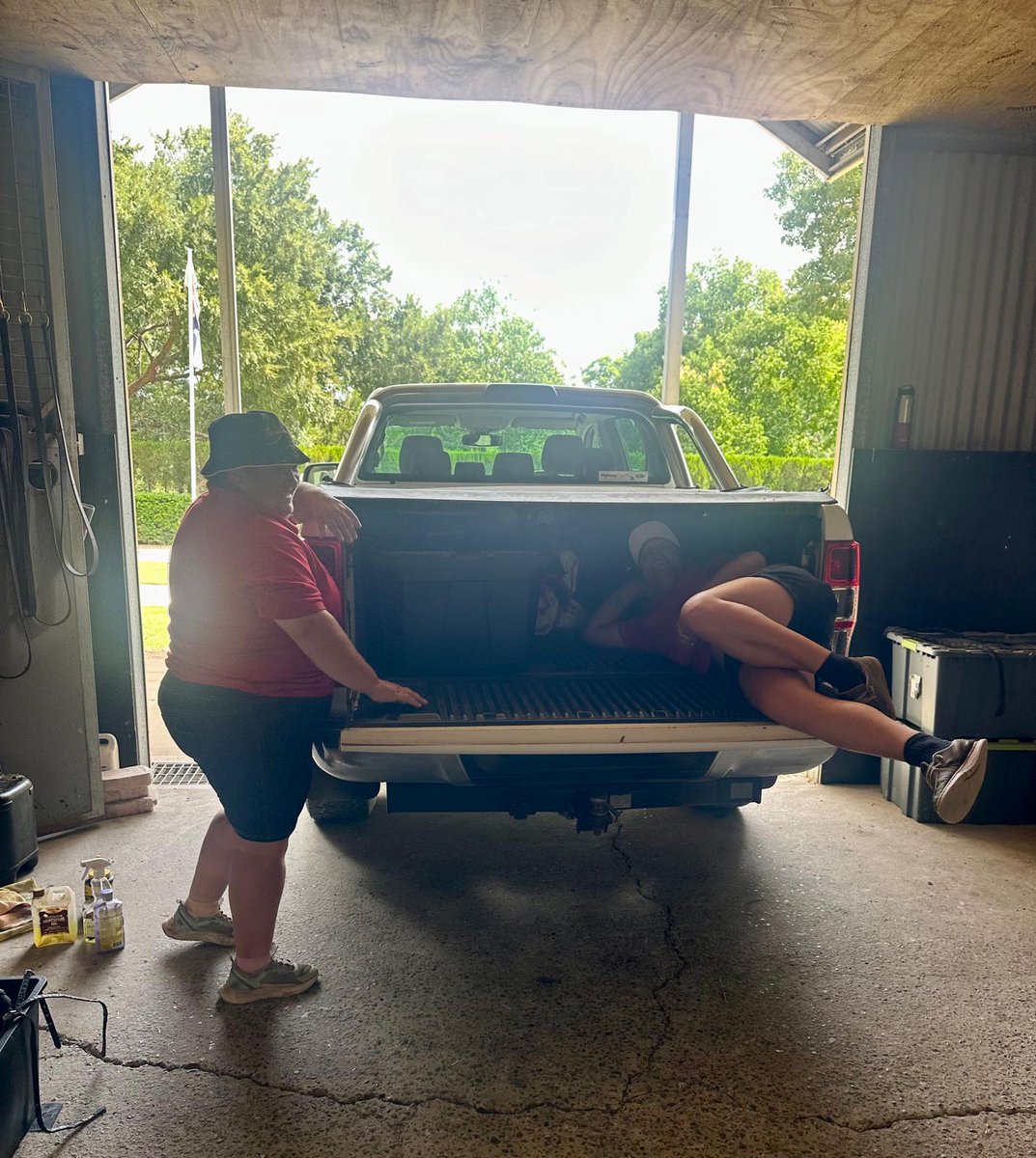 Torryburn Stud tweet media