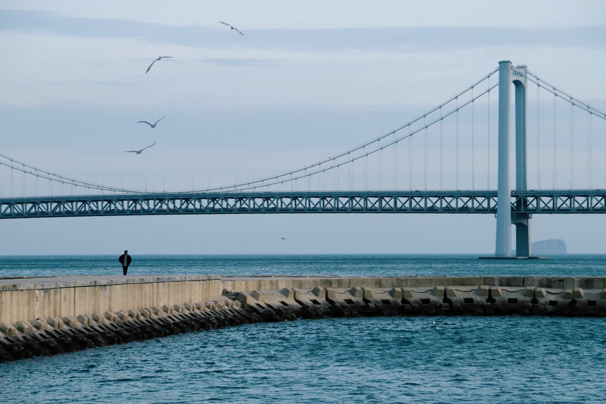 Kent Patick Linton tweet media