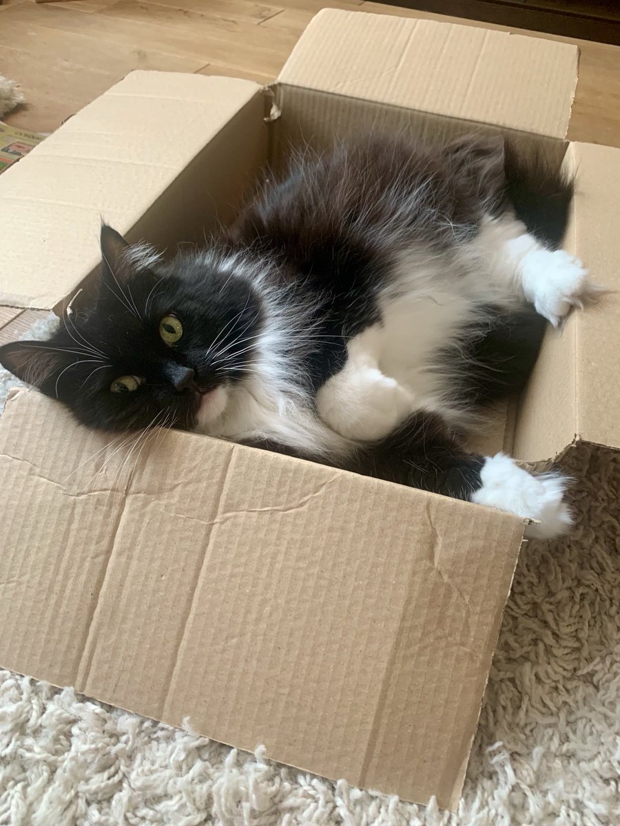 Pickle and Nancy tweet media