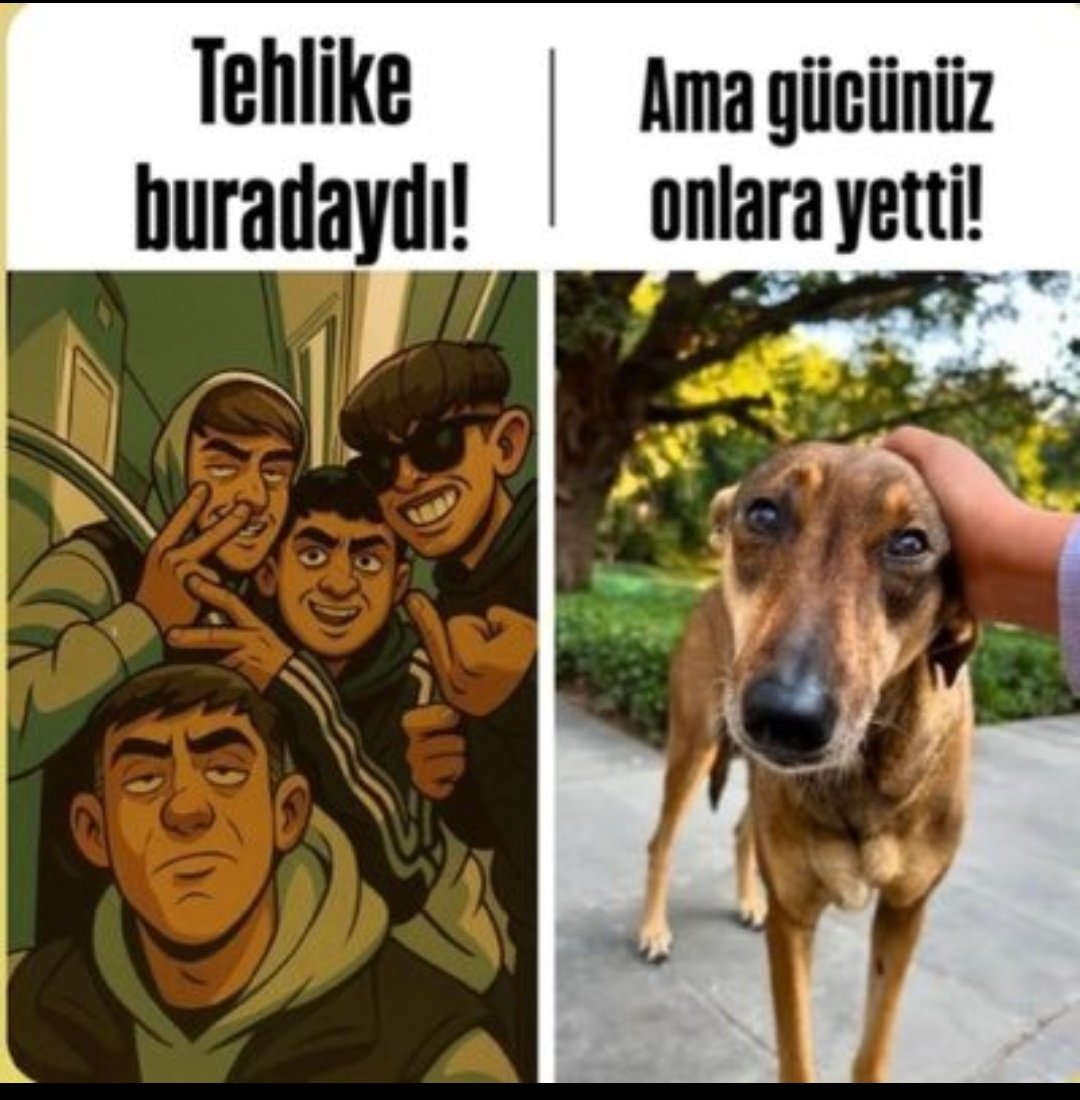 <a href="/YMinguzzi78568/">Yasemin Minguzzi</a> <a href="/Ozgur64193982/">Ne Mutlu Türküm Diyene...</a>