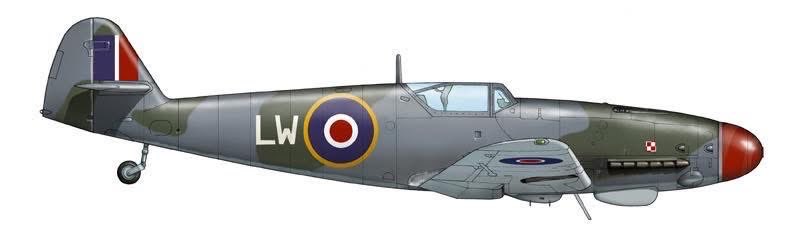 Polish Heritage Flight tweet media