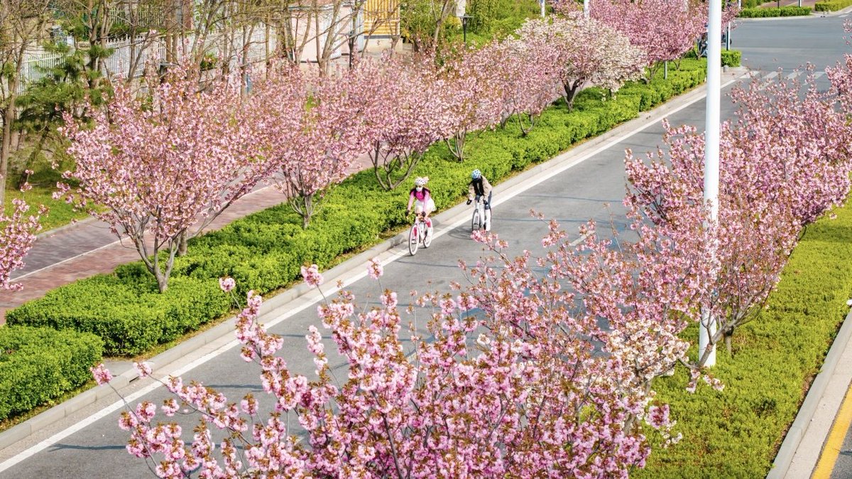 JK Lindar tweet media