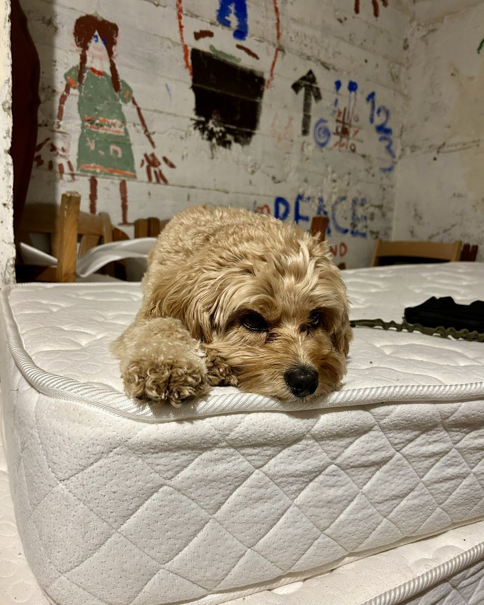 Anne Rethmann tweet media