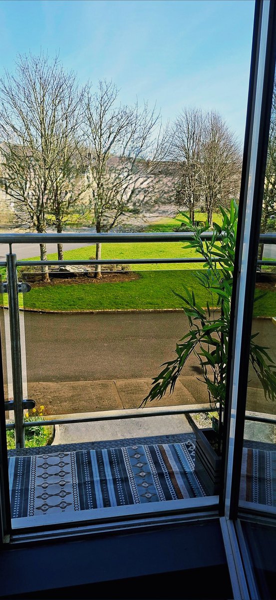 Dawn 💚 Of the Tribes 🇮🇪 tweet media