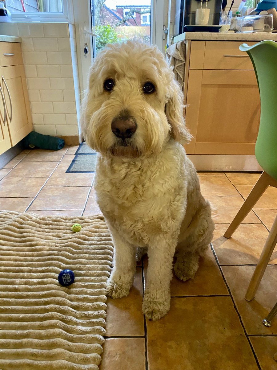 Horace The Space Cowboy tweet media