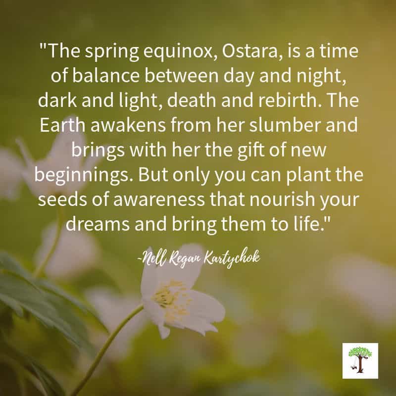 Milo 🐝🤍🏴󠁧󠁢󠁷󠁬󠁳󠁿 tweet media