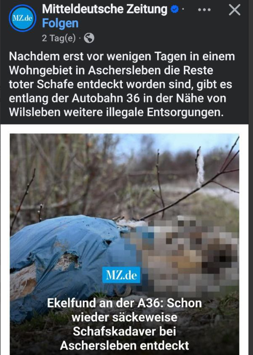 Marla Svenja Liebich tweet media