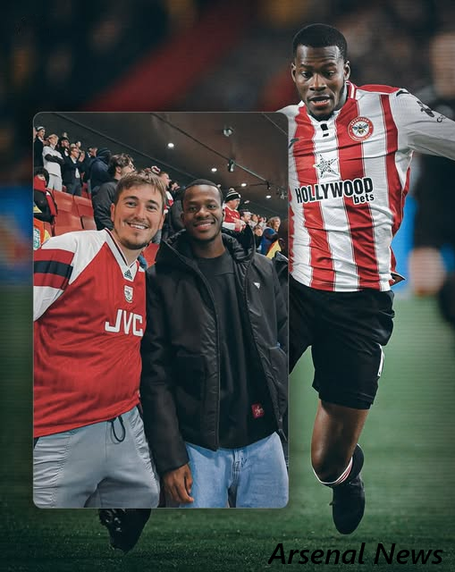 Azores.INK🦭 tweet media