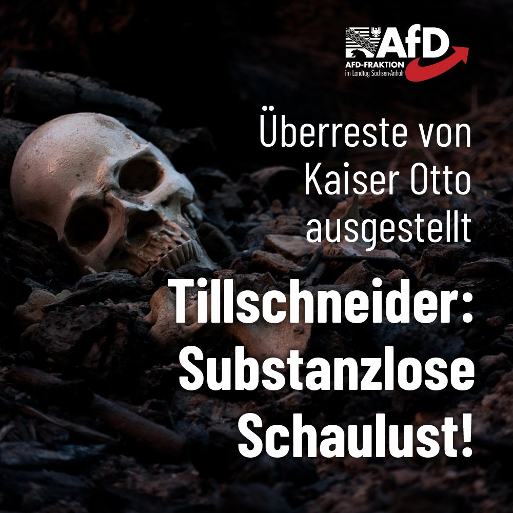 AfD-Fraktion LSA tweet media