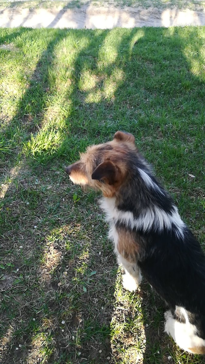 Masia 🖤🩶🤍💜⛓ VGen comms open tweet media