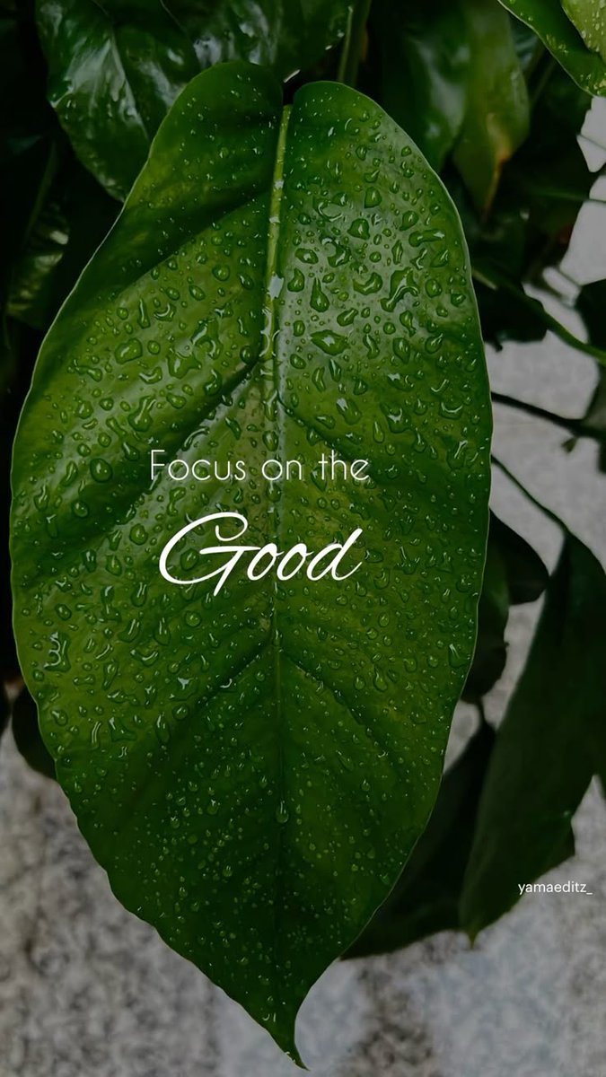 POSITIVITY (@positivitysaid) on Twitter photo 