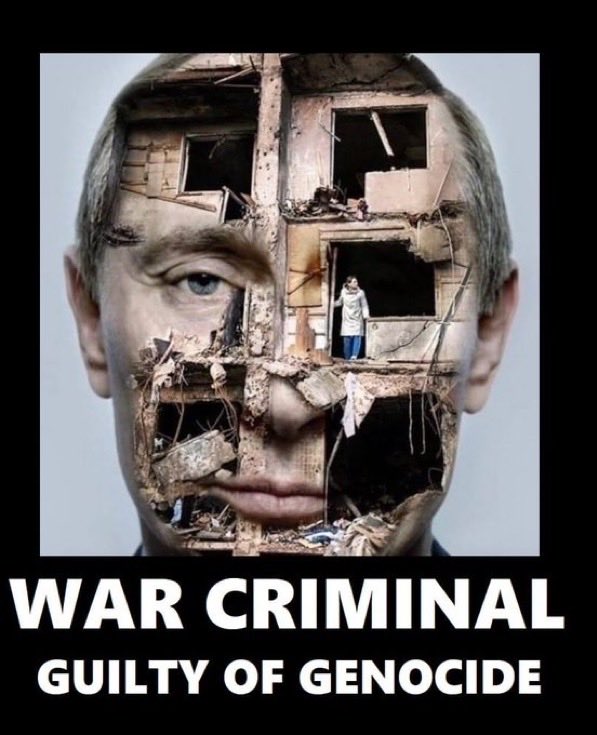 Bären-Fella tweet media