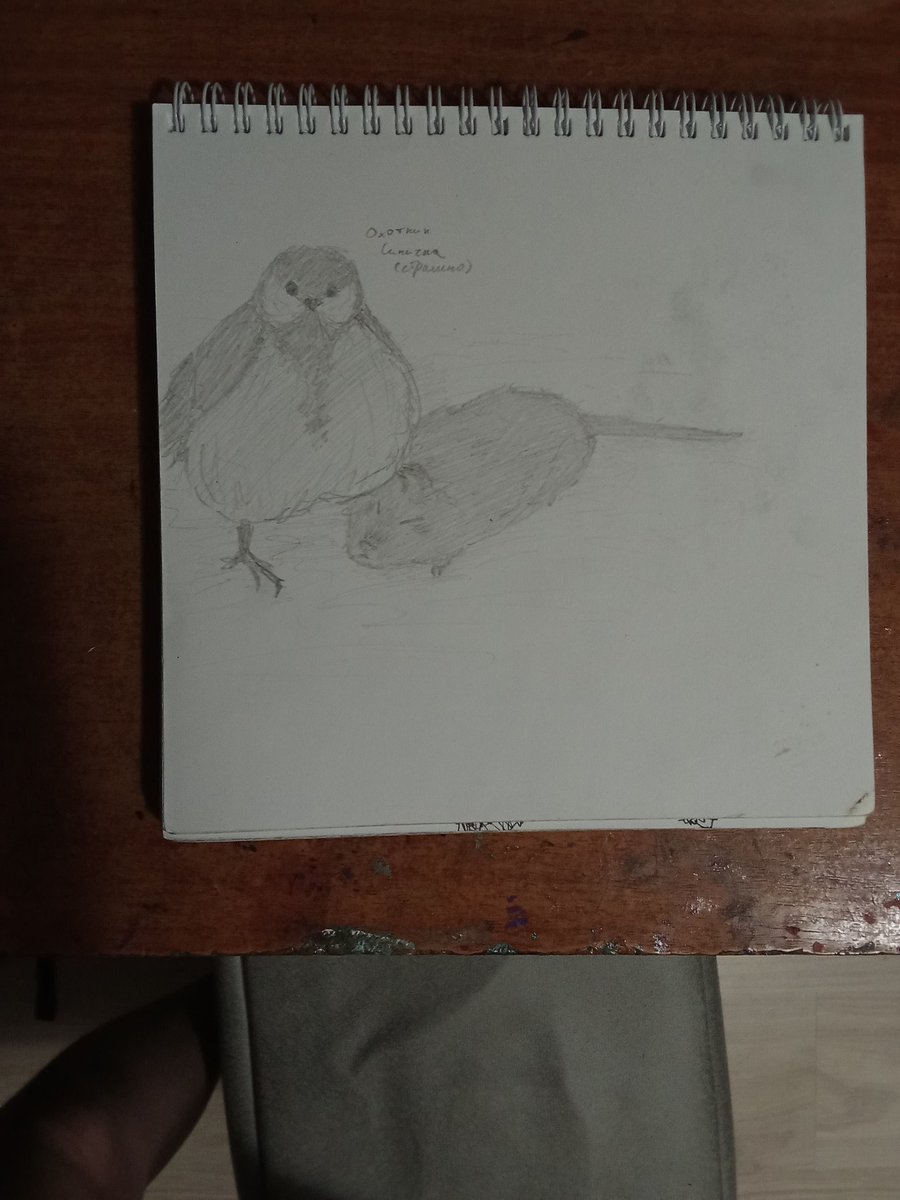 Esher_sillyk tweet media