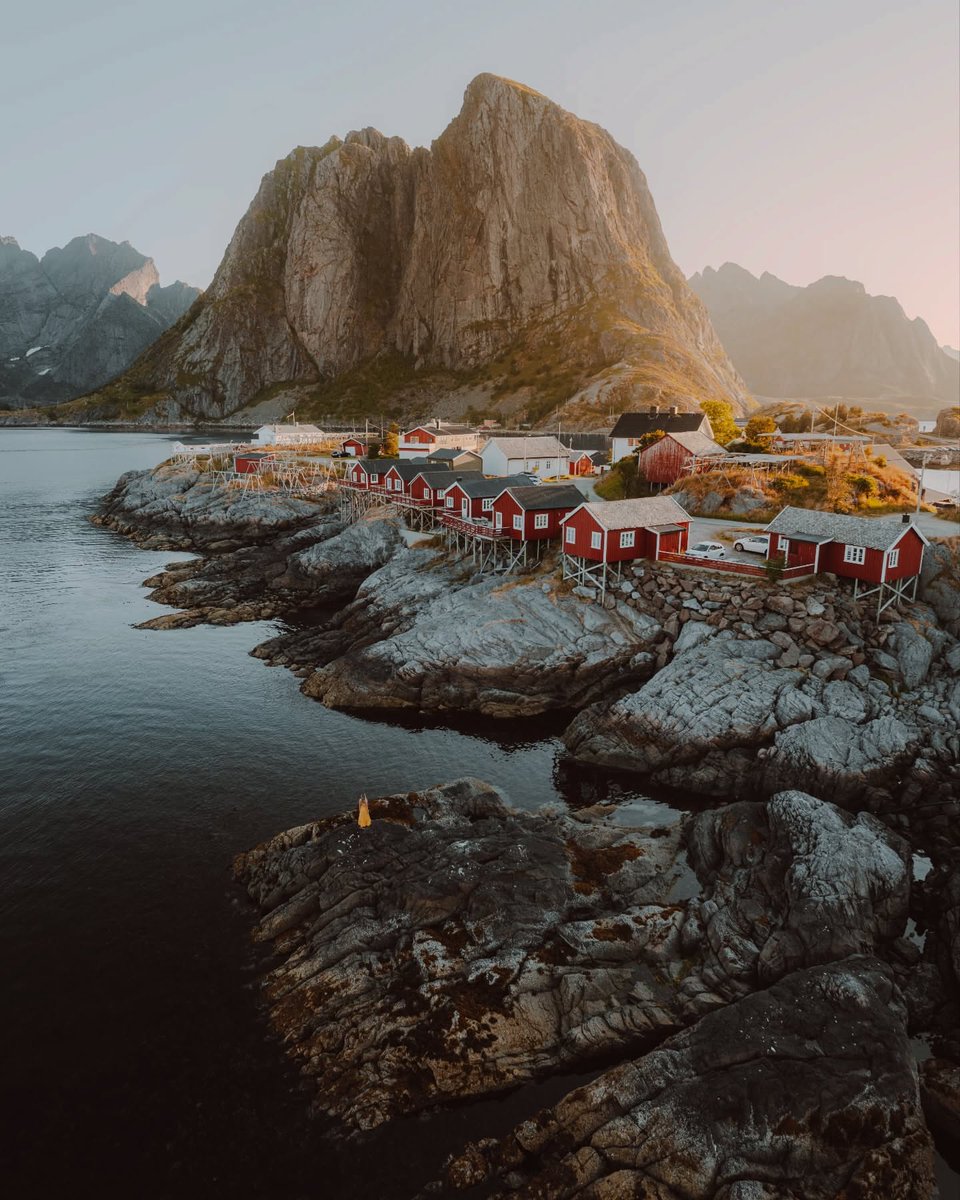 The World tweet media