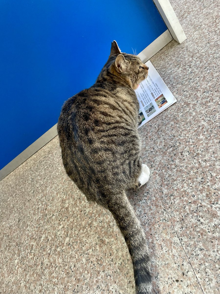 andres ramon tweet media