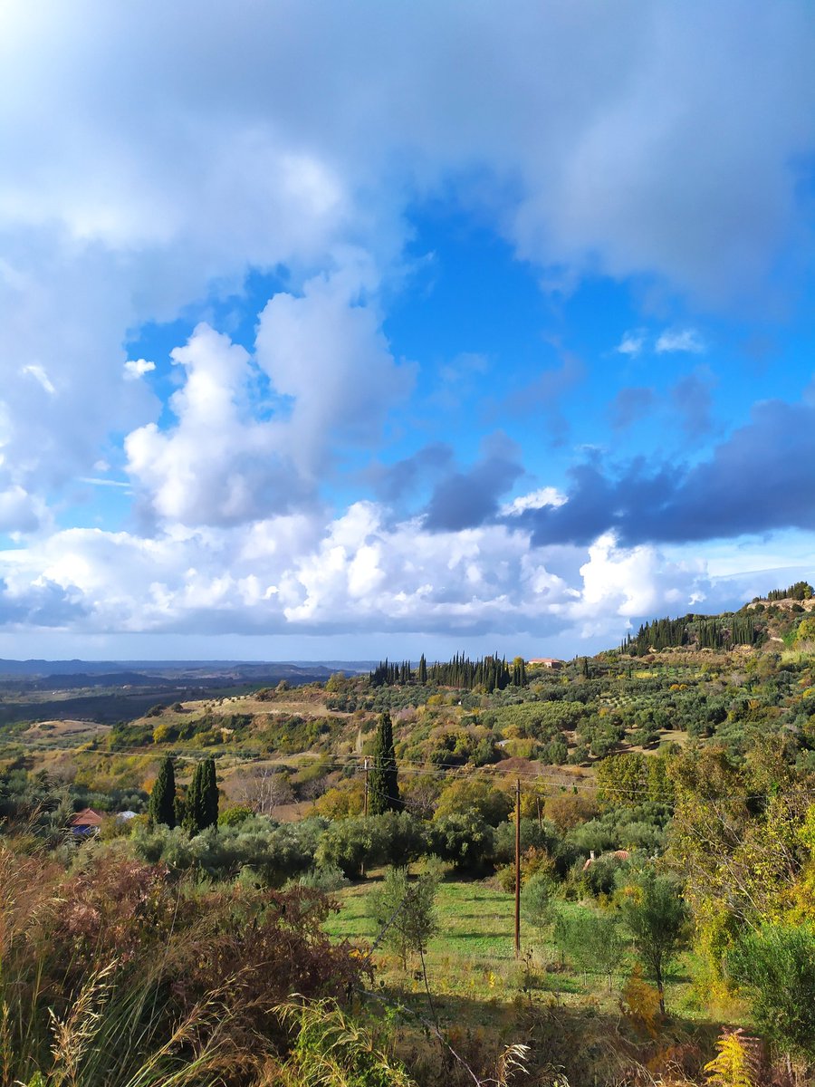 Nektarios tweet media