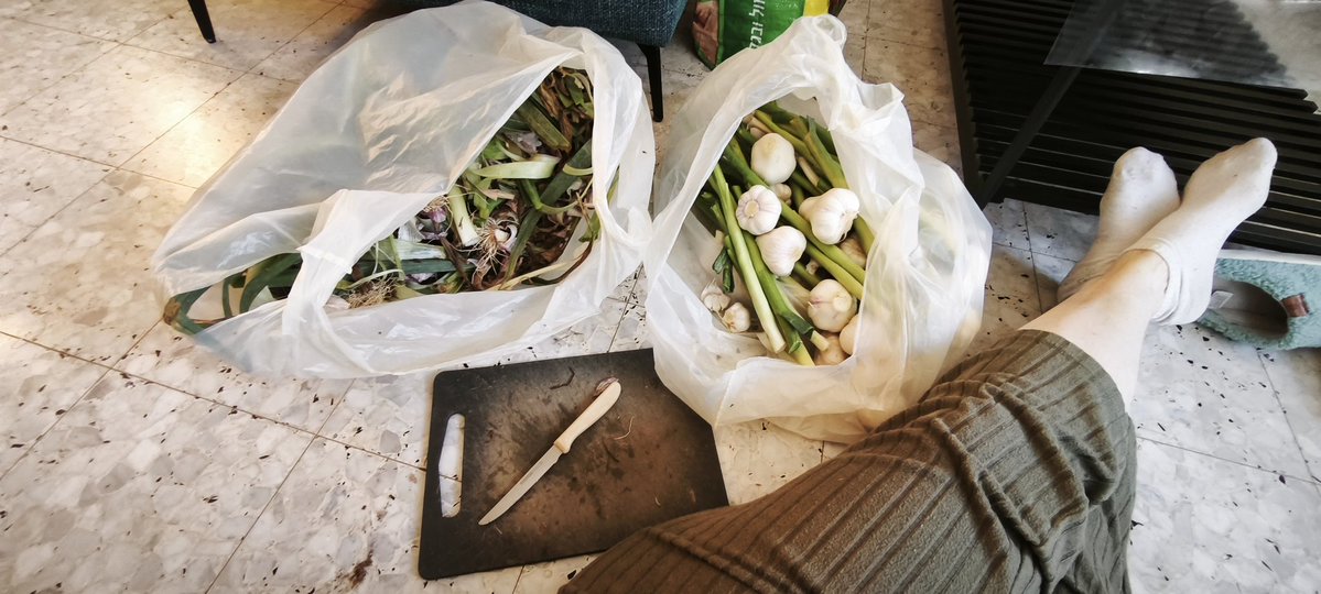 דבורה💚🌳💛🇮🇱 tweet media