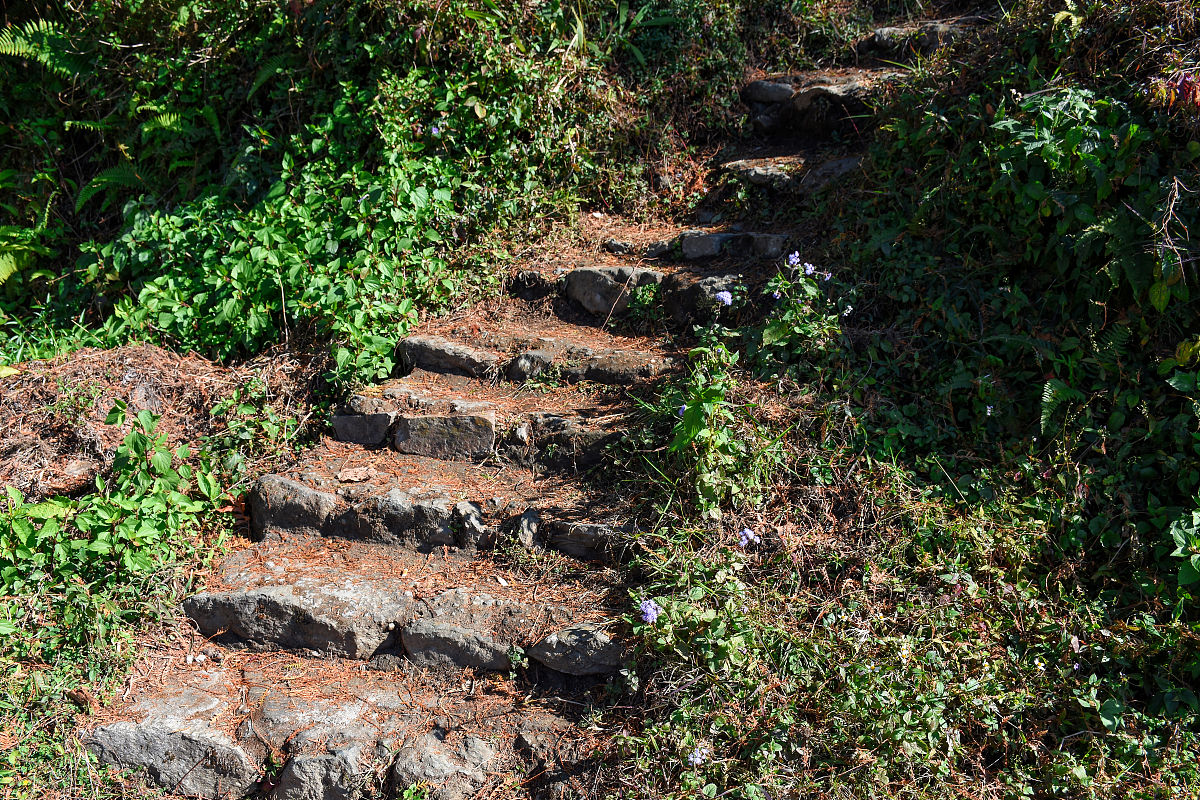 Niklas Larsson tweet media