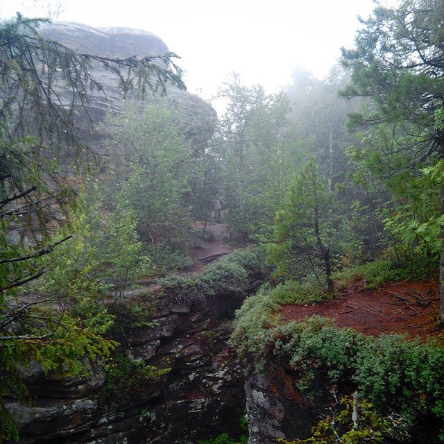 Дальность видимости tweet media