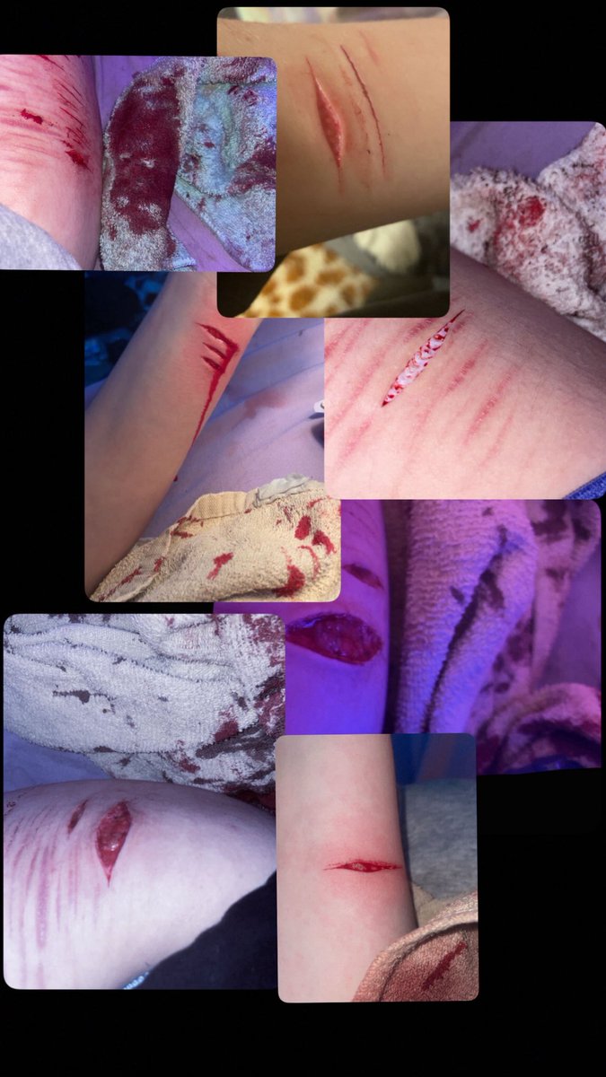 𓆝 𓆟 𓆞𓆝 𓆟 𓆞 tweet media