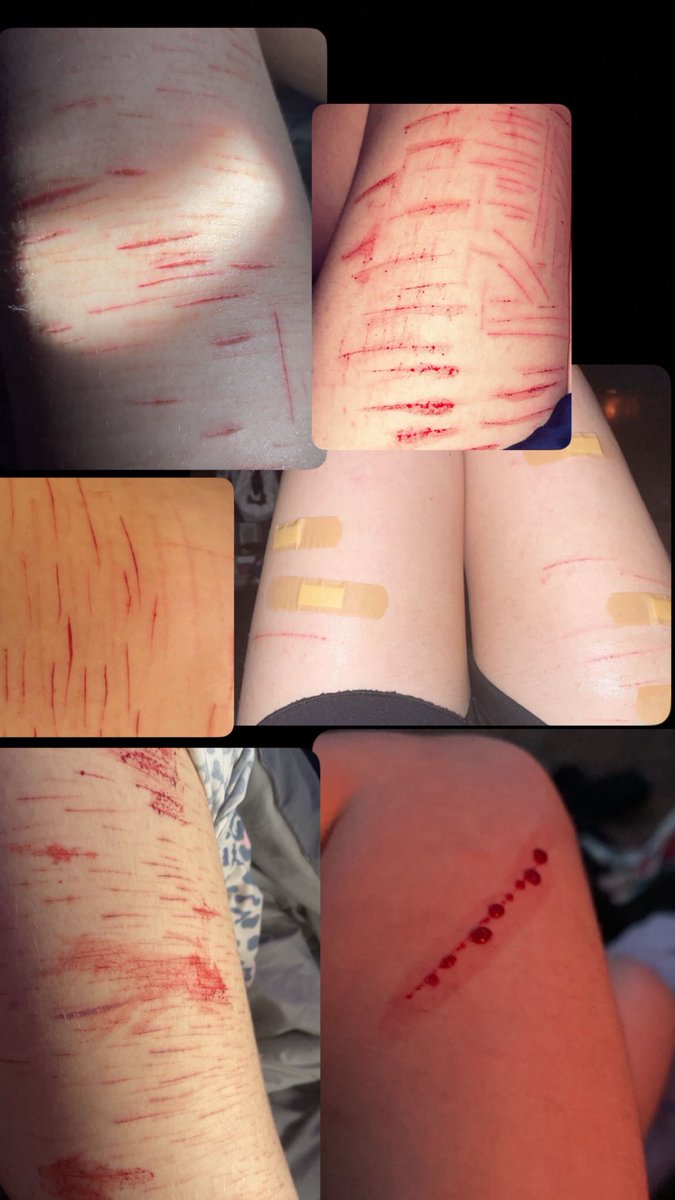 𓆝 𓆟 𓆞𓆝 𓆟 𓆞 tweet media