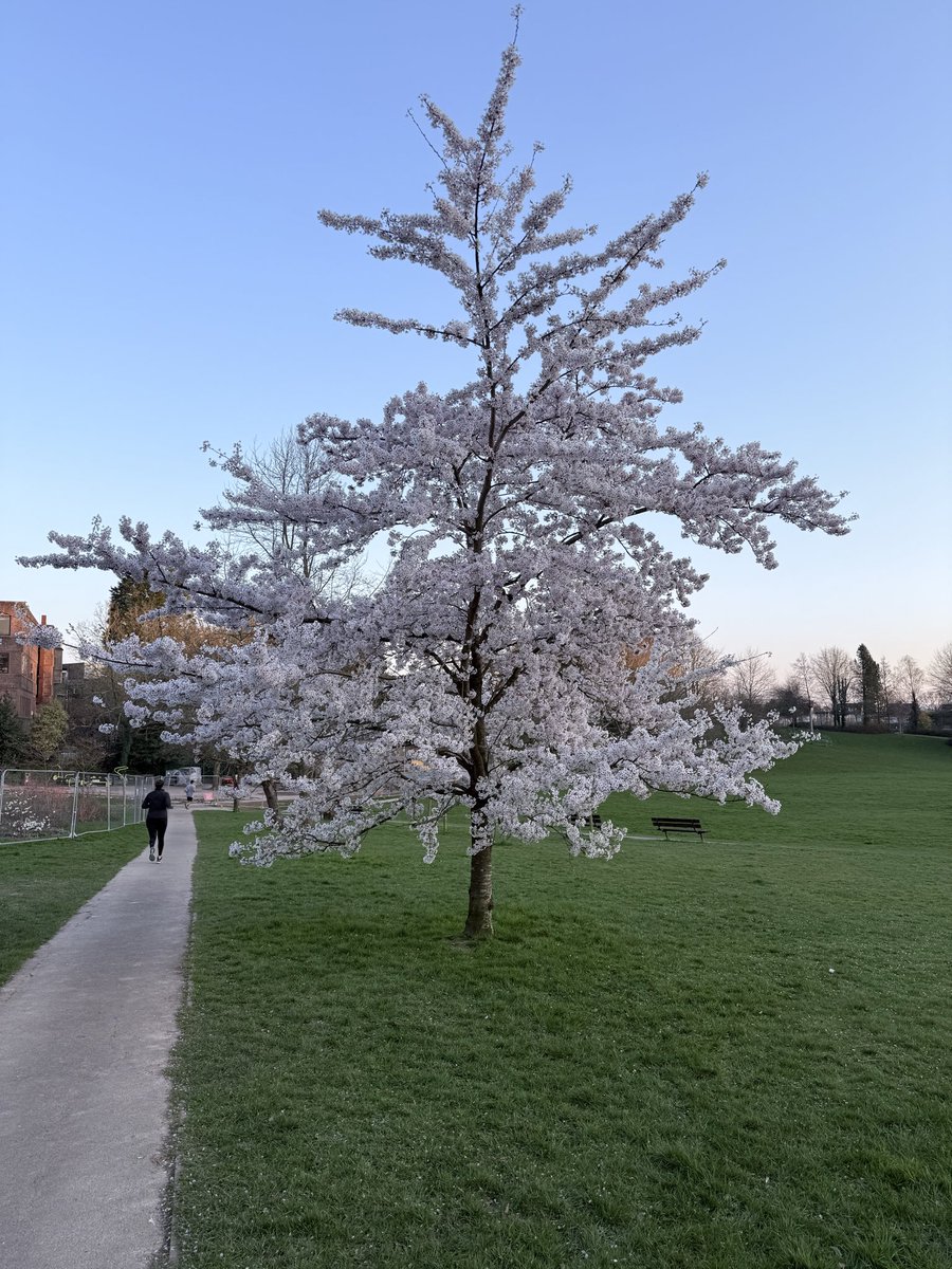 John Radoux tweet media