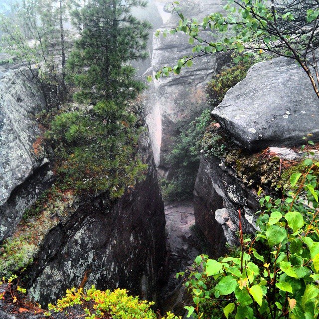 Дальность видимости tweet media