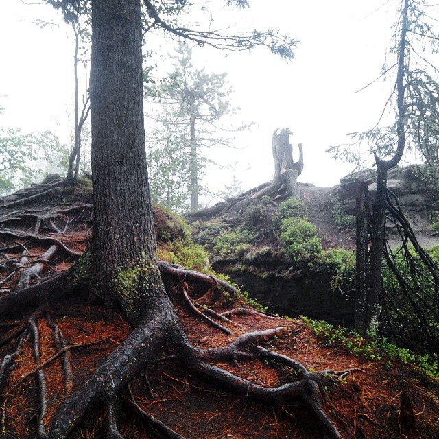 Дальность видимости tweet media