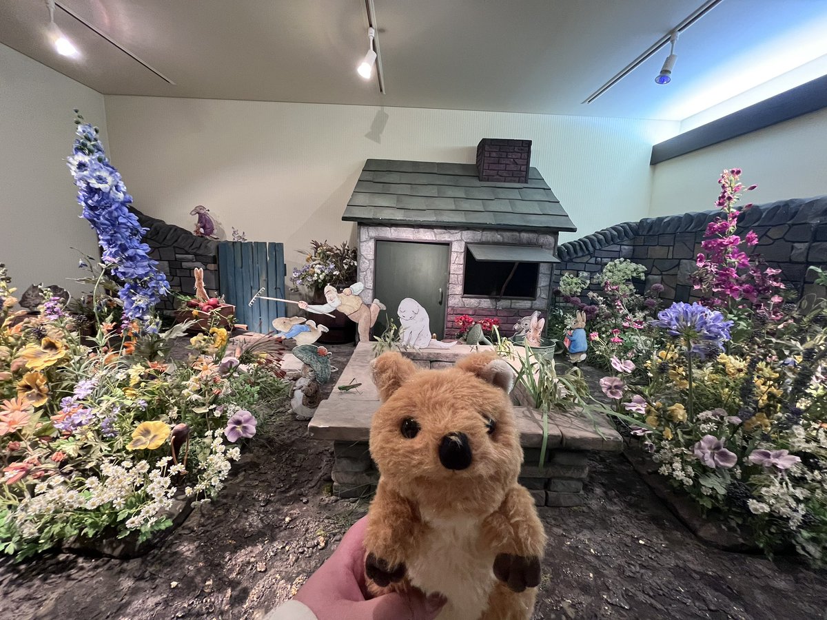 ๐ ้ฆใกใใ ๐ tweet media