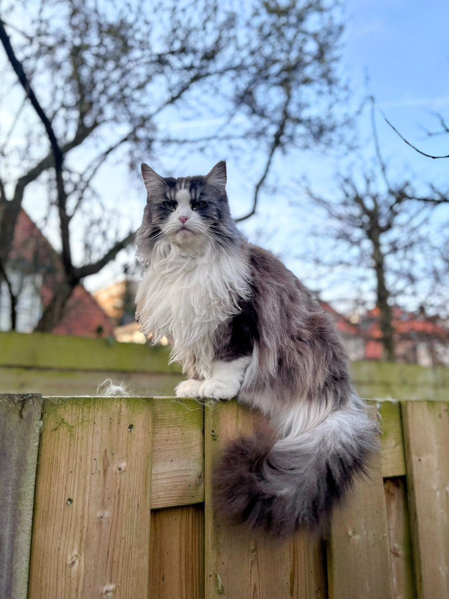 Keykisa2 tweet media